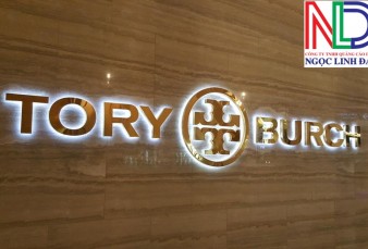 Thi công chữ nổi cho showroom ô tô nâng tầm đẳng cấp khẳng định thương hiệu